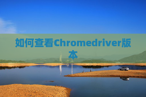 如何查看Chromedriver版本