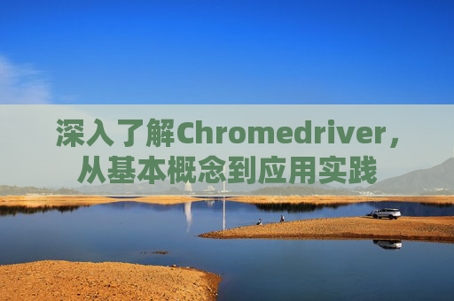 深入了解Chromedriver,从基本概念到应用实践 深入了解Chromedriver,从基本概念到应用实践